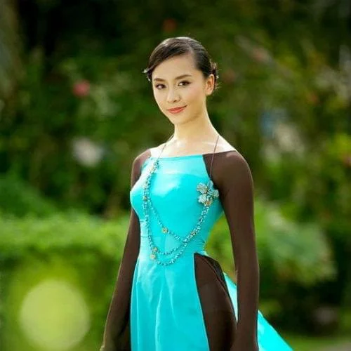 vietnam-ao-dai-custom-made-blue-brown-chiffon