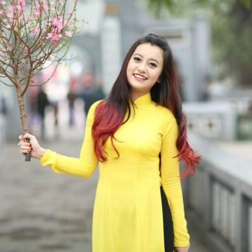 Ao Dai Vietnam Yellow Chiffon 2