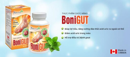 BoniGut Botania remède naturel 1