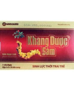 Khang Duoc Ginseng, Panax Vietnamensis