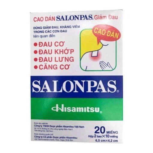 Salonpas Hisamitsu patch pain relief