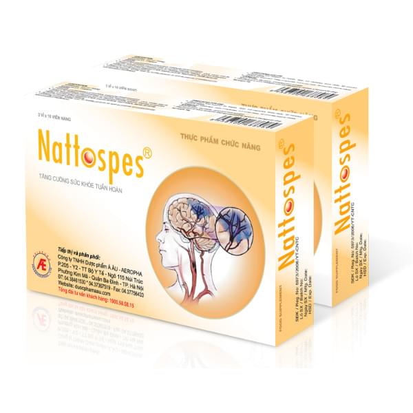 nattospes-nattokinase-strengthen-cerebral-vascular-1