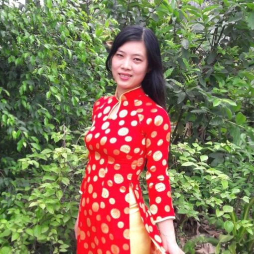 Brocade Ao Dai Vietnam Red Yellow Polka Dot