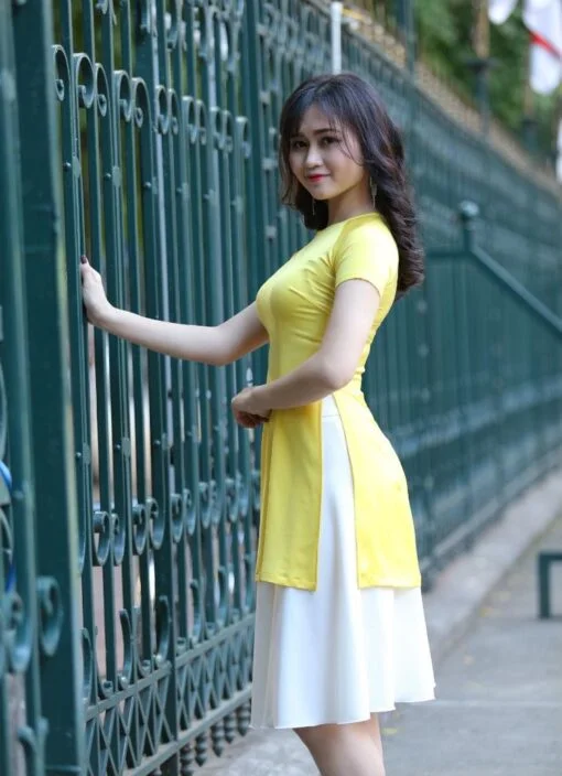 Modern Ao Dai Designs 2