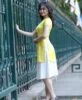 Modern Ao Dai Designs 4