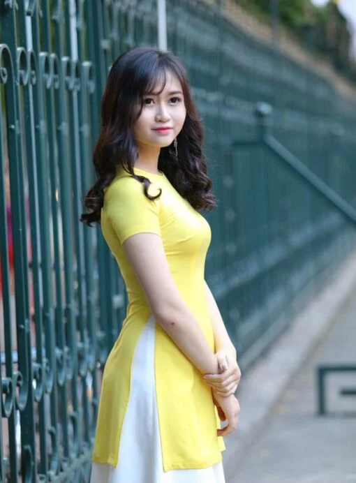 Modern Ao Dai Designs