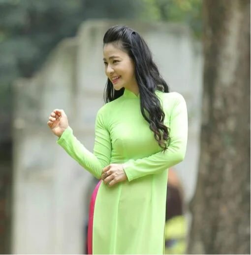 Viet Nam Ao Dai Custom Made Green