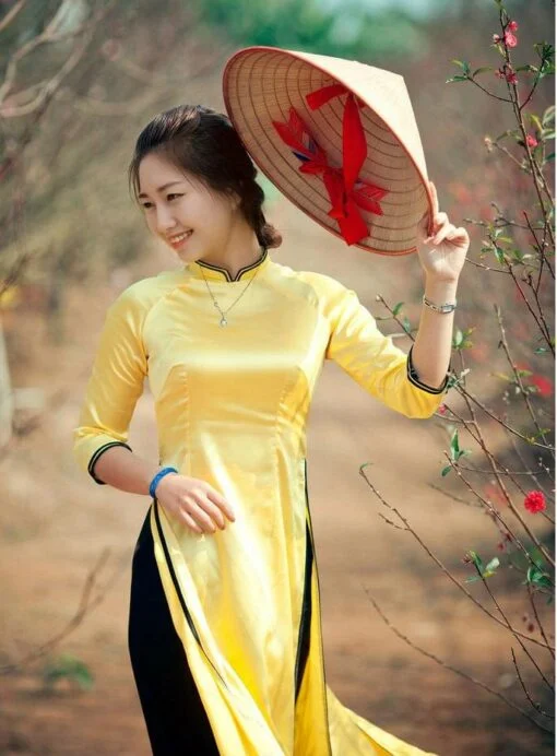 Ao Dai Viet Nam Best Price Custom Made