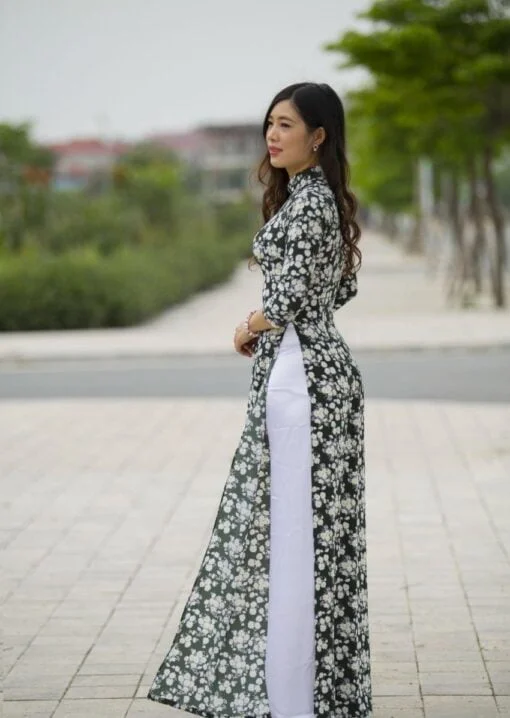 Ao Dai Vietnam New Fabric Collection 2
