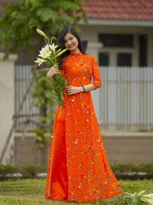 Viet Nam Ao Dai Tailor Shop 2