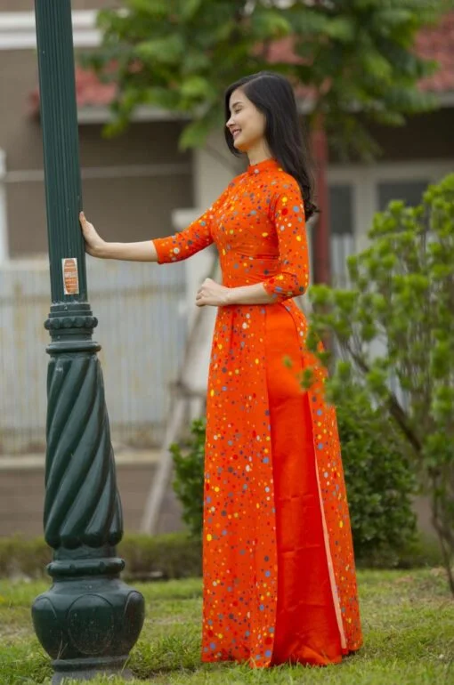 Viet Nam Ao Dai Tailor Shop 3