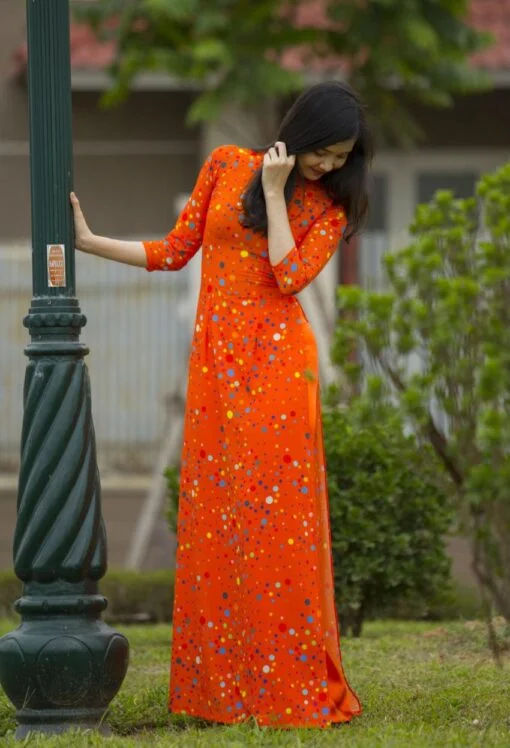 Viet Nam Ao Dai Tailor Shop 4