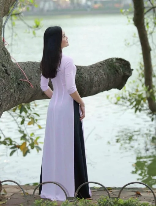 Ao Dai Vietnam Light Pink Chiffon 2