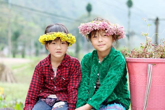 Ha Giang Tam Giac Mach flowers Festival 3
