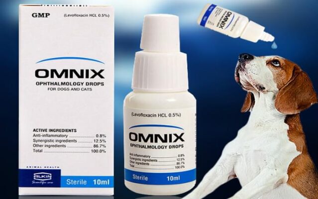 Omnix Alkin Pet Eye Drops Cats Dogs Bacterial Infection   Omnix Alkin Pet Eye Drops Cats Dogs Bacterial Infection 3 639x400 