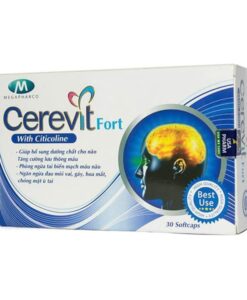 Cerevit Fort soutien le cerveau