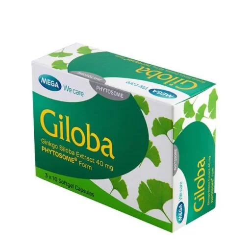 Mega Giloba Brain Tonic