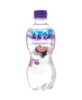 Carbonated Mineral Water Leo Passion