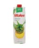 Malee Pineapple Fruit Juice Vitamin