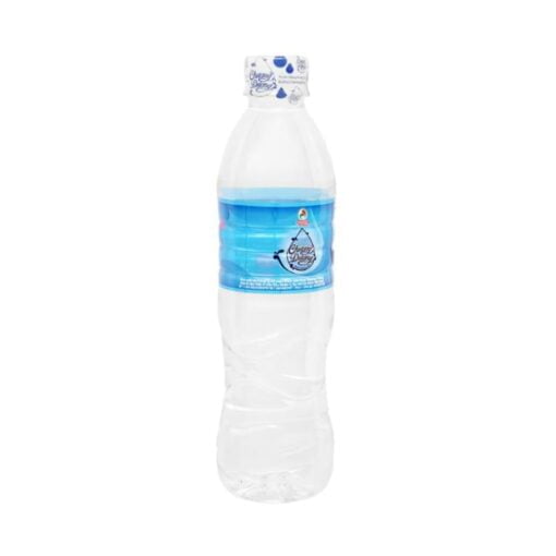 Natural Pure Water Chuong Duong 1