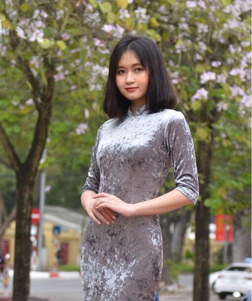 Vietnam Cheongsam Dress