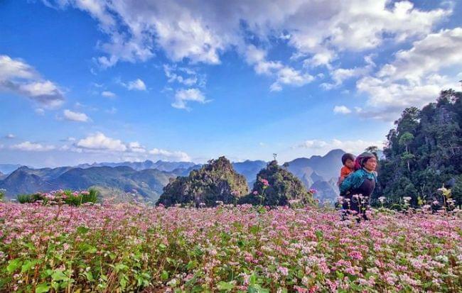 Fête des fleurs de Ha Giang TAM GIAC MACH