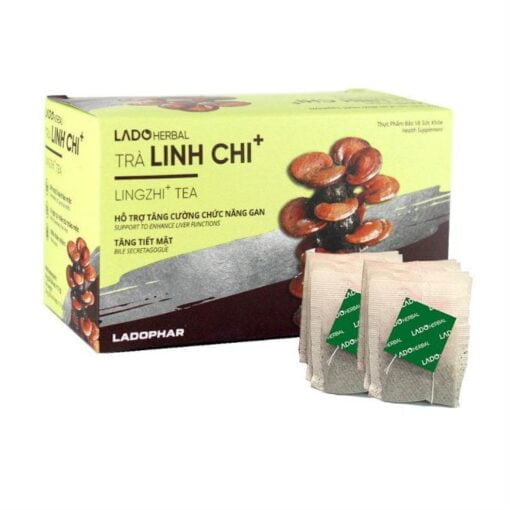 Lingzhi Tea nourishing body