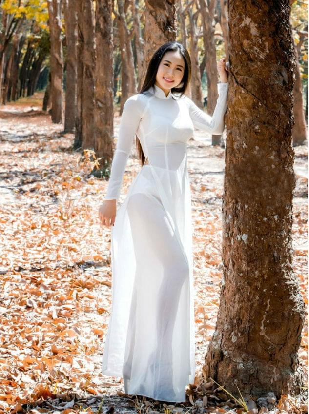 Ao Dai Vietnam Sexy White Chiffon Free Custom Made