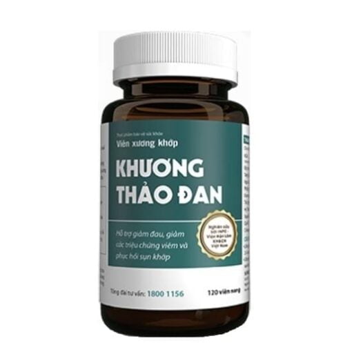 Khuong Thao Dan restaure le cartilage articulaire 2