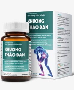 Khuong Thao Dan restaure le cartilage articulaire