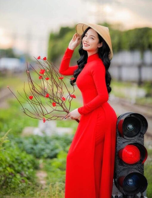 ao dai vietnamese traditional dress in red