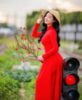ao dai vietnamese traditional dress in red