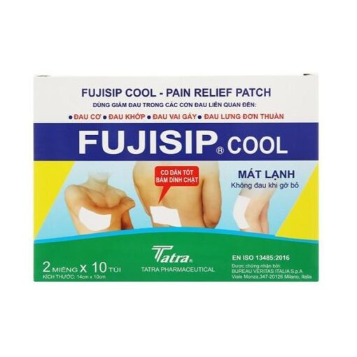 Fujisip cool pain relief patch