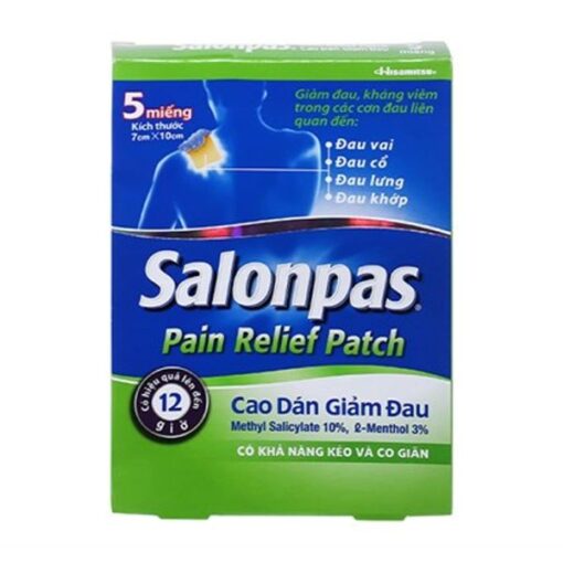 Salonpas Pain Relief Patch 01